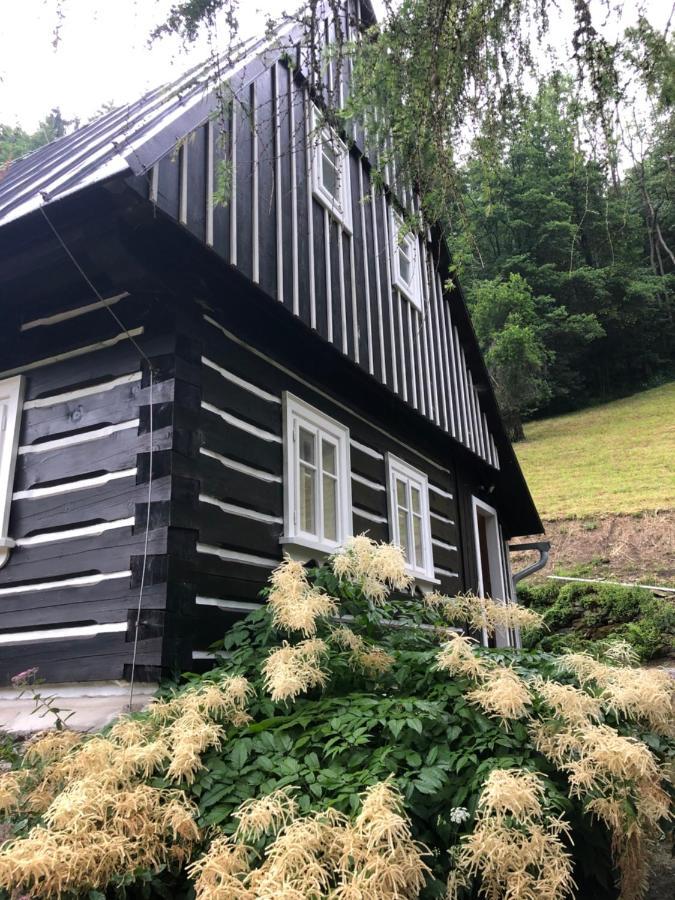 Roubenka Bratrouchov Villa Jablonec nad Jizerou Exteriör bild