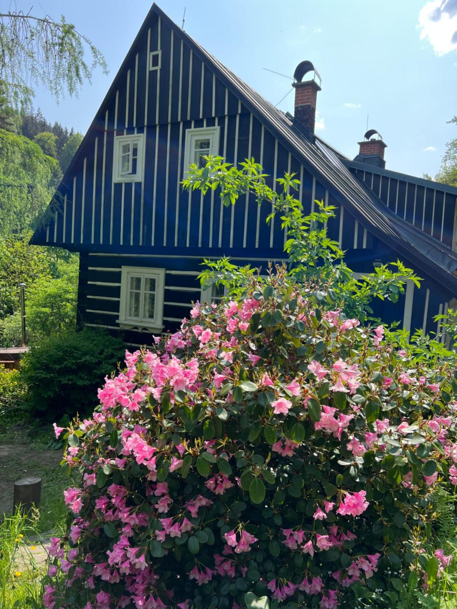 Roubenka Bratrouchov Villa Jablonec nad Jizerou Exteriör bild
